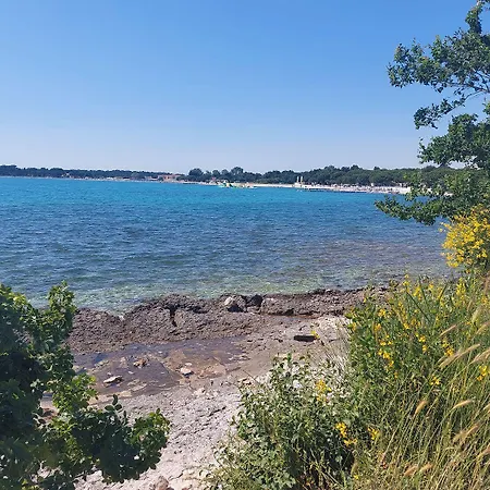 Apartament Merle *